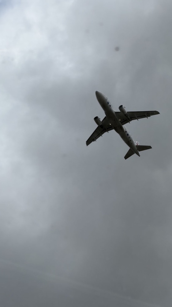 Silhouette eines Flugzeugs im Anflug vor grauem Himmel